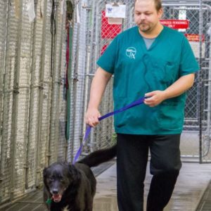 Juneau Animal Rescue Endowment