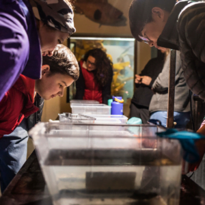 Sitka Sound Science Center Sustainable Development Endowment