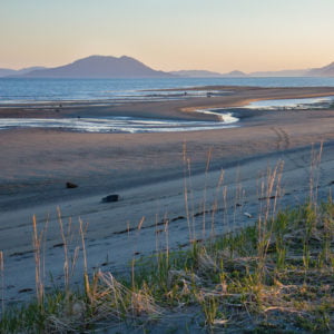 Friends of Gustavus Fund