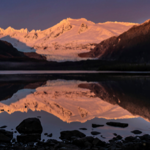 Sandra Berry Memorial Fund