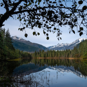 Juneau Mental Health & Suicide Prevention Endowment