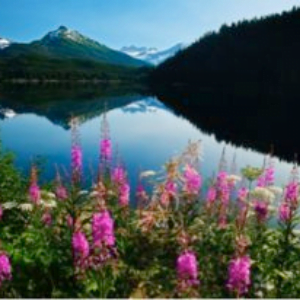 Juneau Hospice Endowment