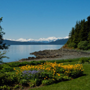 Friends of Jensen-Olson Arboretum Fund