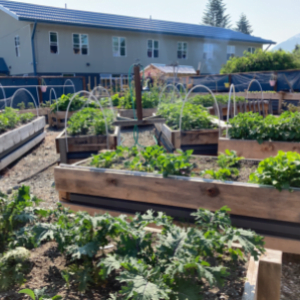 Friends of Glory Hall Fund