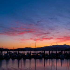 Heidi and Brian Lingle Fund