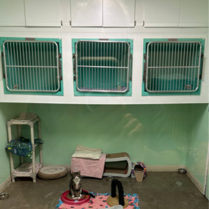 Juneau Animal Rescue New Animal Shelter Fund