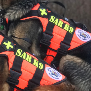 SEADOGS Stewardship Fund