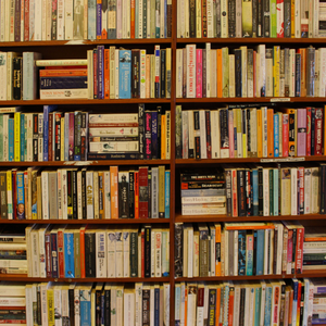 Announcing The 2024 Book Hook Grant Recipients