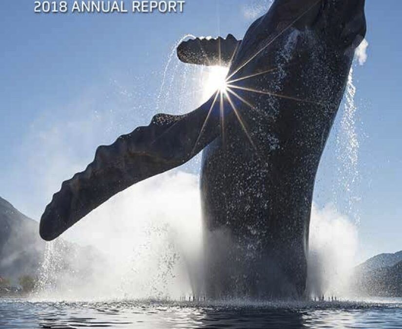 2018 Annual Report