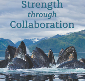 Our 2024 Annual Report