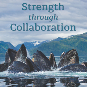 Our 2024 Annual Report