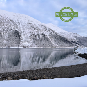 Support local nonprofits through Pick.Click.Give