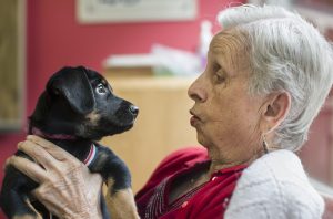 Juneau Community Foundation Announces $2.9 Million in Grants to Strengthen Critical Health and Social Services Assembly Approval Pending for CBJ Funds