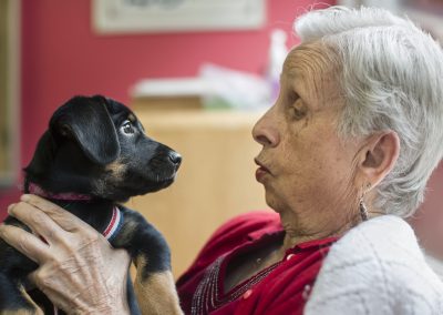 Juneau Community Foundation Announces $2.9 Million in Grants to Strengthen Critical Health and Social Services Assembly Approval Pending for CBJ Funds